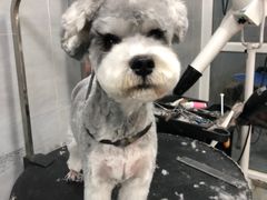 -宠福鑫康馨动物医院·骨科·眼科