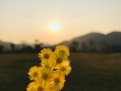 -白石龙音乐公园