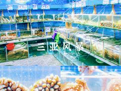 -三亚蜈支洲岛旅游区