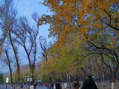 -二一九公园