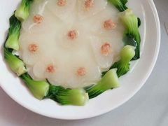 -田螺阿姨自营月嫂·育儿嫂(高新店)