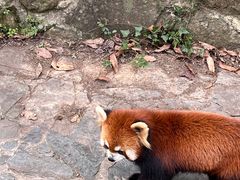 -杭州动物园