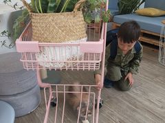 大堂-有猫主题·治愈系猫咖(曾厝垵店)