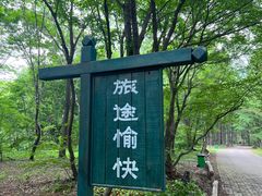 -龙道沟景区