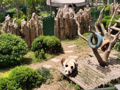 -大连森林动物园