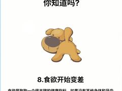 -美联众合动物医院·24h转诊中心