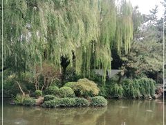 -秋霞圃