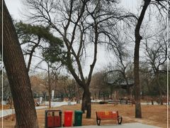 -元大都城垣遗址公园