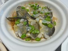 蚕豆百合焗黄鱼-眉州东坡(北苑华贸店)