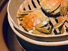 大闸蟹-海棠湾洲际-涛·海底餐厅·美人鱼·自助餐·海底隧道