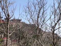 -泰山风景名胜区