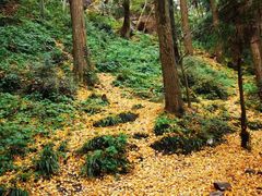 -金堂县云顶石城风景区