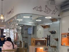 -喵园·猫主题咖啡厅·撸猫·猫咖(国贸店)