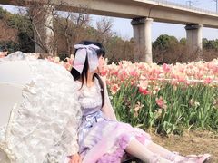 -秀丽东方