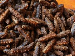 -宫品海参专卖店(静安大宁店)