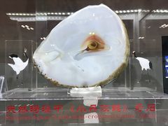 -甘肃国际会展中心