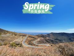 -阳台山自然风景区