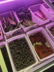 -米迪跳冒险岛(盛润锦绣城店)