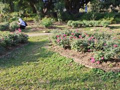 -人民公园(罗湖区)