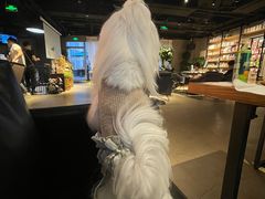 -百好乐宠物友好餐厅(朝外大街店)