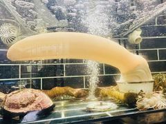 -人间采蜜(海信广场店)