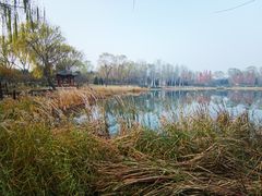 -北坞公园