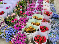 -平吉花卉市场
