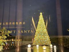 -三亚太阳湾柏悦酒店