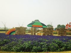 -嘉北郊野公园