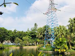 -晓港公园
