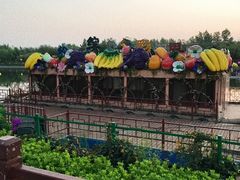 -西安汉城湖景区