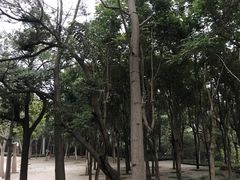 -狐尾山公园