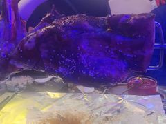 -沪上名羊天下碳烤羊腿•东北烧烤•小龙虾(浦东直营总店)