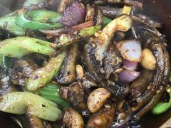 啫黄鳝-汤氏美食台山水步特色黄鳝饭(龙津东路店)