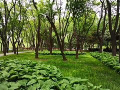 -玲珑塔公园