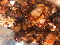 -张师傅脆皮五花肉(世界城光谷步行街店)
