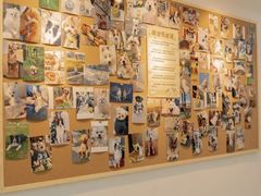 -翊宠yipet猫狗购宠庄园犬舍•猫舍