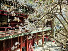 -潭柘寺景区
