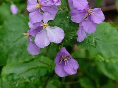 -宁波浙东大竹海景区