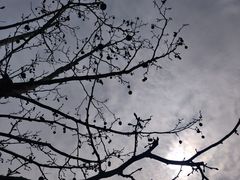 -苏州东太湖生态园