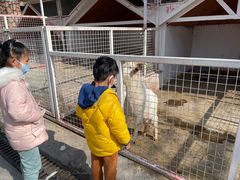 -J Create城市露营咖啡·简餐·宠物(上海动物园店)