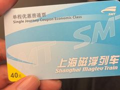 -龙阳路磁悬浮列车总站-停车场