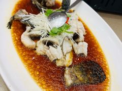 -舜泉海鲜(百官店)