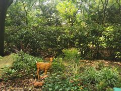 -共青国家森林公园-售票处