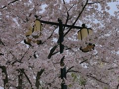 -江南大学(蠡湖校区)