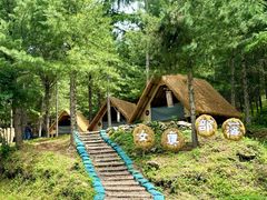 -参仙谷生态旅游度假区