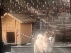 -2walk走走咖啡