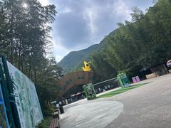 -天乐农家鱼头王(天目湖店)