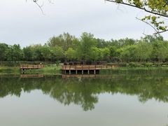 -东郊湿地公园