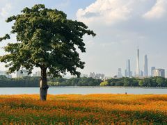 -海珠湖公园